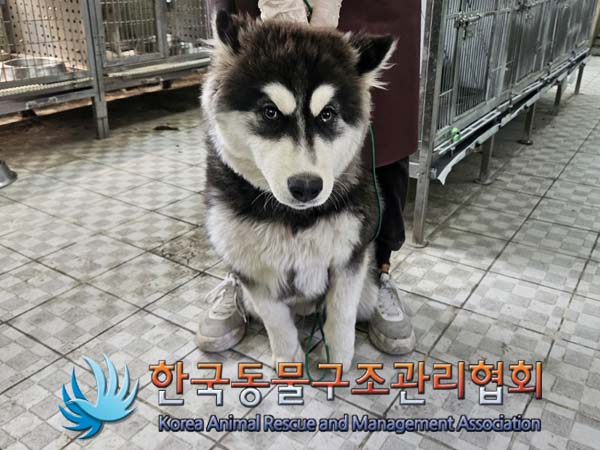 한국동물구조관리협회_441560202400593
